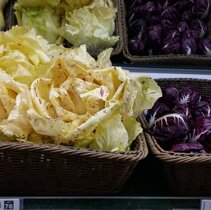 radicchio variegato czyli roznokolorowe radicchio variegato czyli roznokolorowe