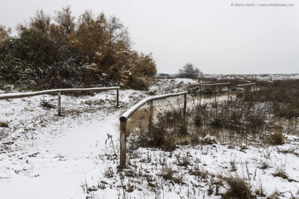 04412e4a9f661a0654bc03a2995abbcc789eefb1