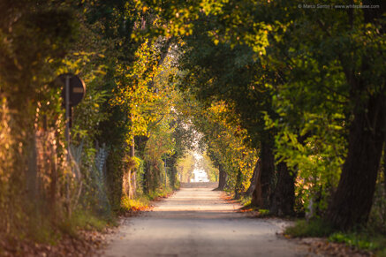 41693edff1f65c16e9491ba87d4ac0101cf0936c