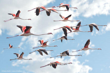 62f2ce4f54a43ad3ef7d339435a446c61ee1702c