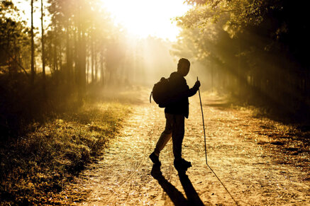 947273496636cea56ba091c671ab27d566cafc95