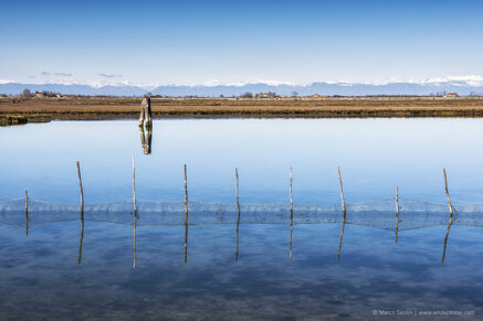 b918b8069265cd76477a901d69a3b731873e652c