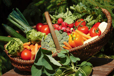 c28d51f66c06b0cf22c8eb724c1720cf39d92e95