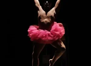 a3f65fd230163b5fe995956261508a9d70dbd2b0