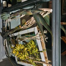 cornici di legno casco ddi banane frutta esotica portasemi di sterlizie frutti tropicali
