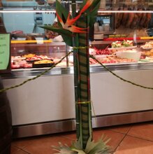 canne di bambù, foglie e fiori di sterlizia
