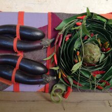 mattonella di feltro melanzane peperoncini carciofi foglie di apsidistria