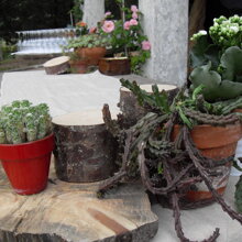 TAVOLO BUFFET