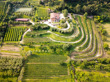 ae3fd329cb2401dee18c0fe042659a7d80e9eb20 ae3fd329cb2401dee18c0fe042659a7d80e9eb20