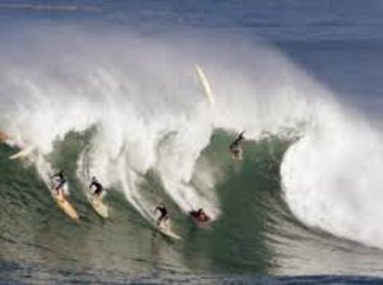 5fd512c1-a14c-4ebe-a2f1-a62805e8b32c