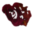 f9548af69ef961c84ea8cacd685d4639de0889f1