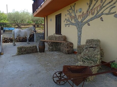 70c65162c2b6a96f5d05955f580f9142c86834fc 70c65162c2b6a96f5d05955f580f9142c86834fc