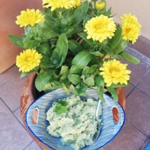 Pesto-di-fave-mandorle-menta-Parmigiano-reggiano-pecorino-stagionato-pasta-pane-tartine-snack
