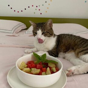 insalata-estiva-cocomero-anguria-cetriolo-basilico-olio-evo-sale-pepe-contorno-spuntino