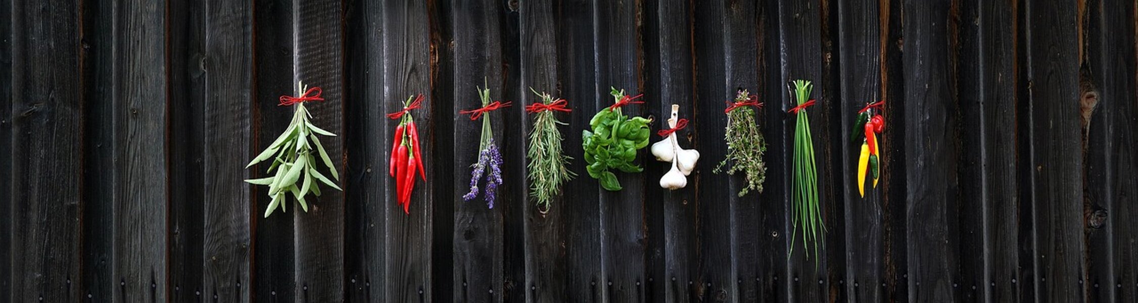 erbe-aromatiche-conservare-estate-aromi-congelare-essiccare-sotto-sale-olio