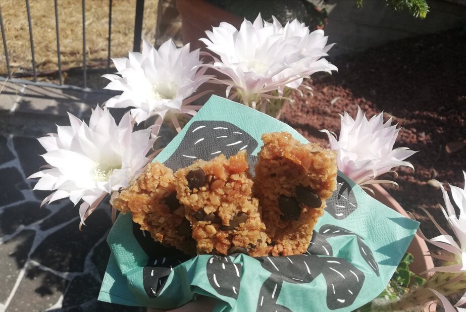 barrette-di-cereali-senza-zucchero-fiocchi-di-riso-avena-albicocche-essiccate-mandorle-semi-di-zucca