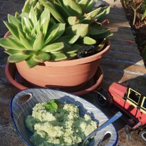 Pesto-di-fave-mandorle-menta-Parmigiano-reggiano-pecorino-stagionato-pasta-pane-tartine-snack