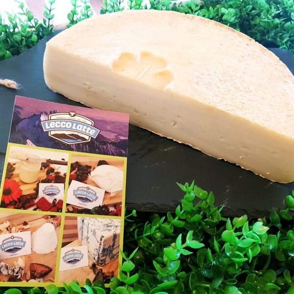 8186b135-a097-4837-b84a-60cc67b6f806