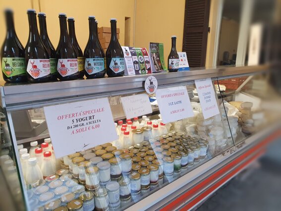 523a2e89-8293-4b27-8703-e2406c9b7f5b