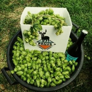 7e54a503-9c6a-4a1f-be02-ca021c5e1f44