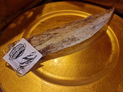 5581d4c8-0a9d-4c9e-bbbf-05e73cf1047f