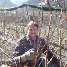 Mirko Un Braù Bagai