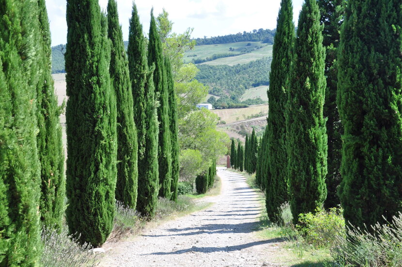 a18447ef8d7608bb4ce6c0e87c631d02ef62f88b