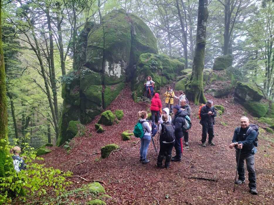 sanbruno 2903 bosco archiforo 3.jpeg sanbruno 2903 bosco archiforo 3.jpeg