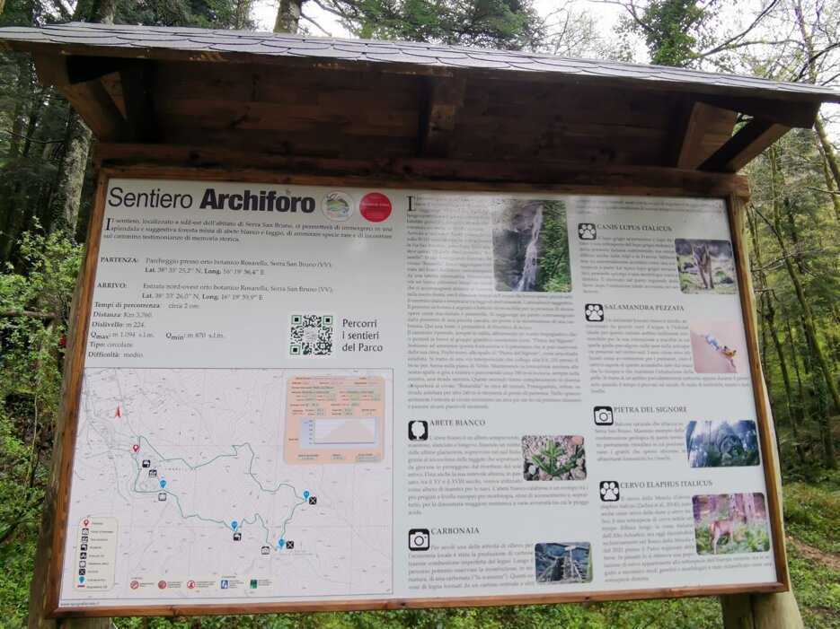 sanbruno 2903 bosco archiforo 21.jpeg sanbruno 2903 bosco archiforo 21.jpeg