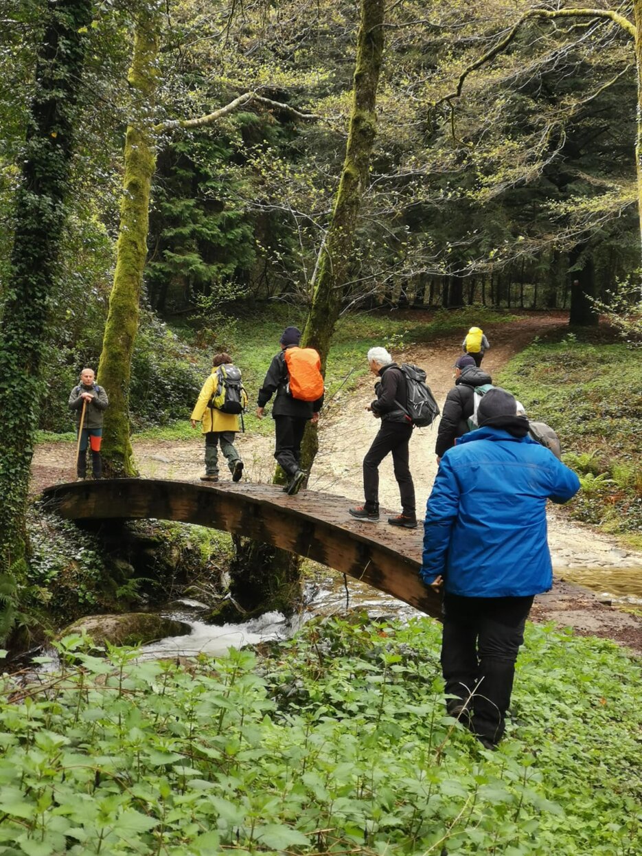 sanbruno 2903 bosco archiforo 23.jpeg sanbruno 2903 bosco archiforo 23.jpeg