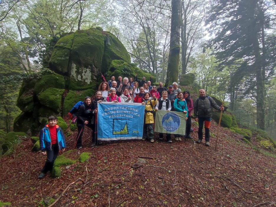 sanbruno 2903 bosco archiforo 4.jpeg sanbruno 2903 bosco archiforo 4.jpeg