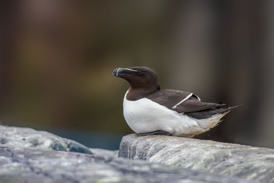 d3809307-2658-4b8a-9ee8-b01c4138555f