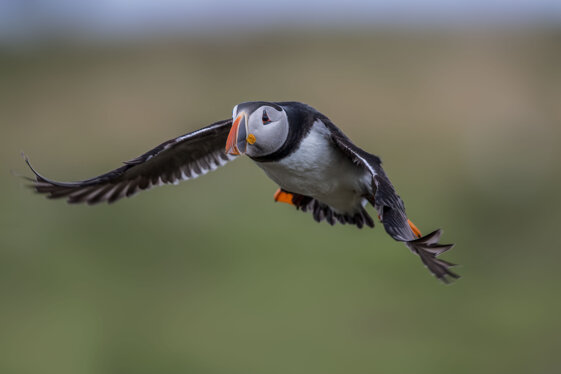 f4a4c888-46c8-45d4-a26d-bd70bcc3ad50