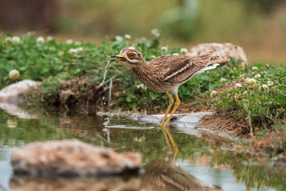 5f0fd4fe-87c6-4a1b-a12b-39c4016387e0