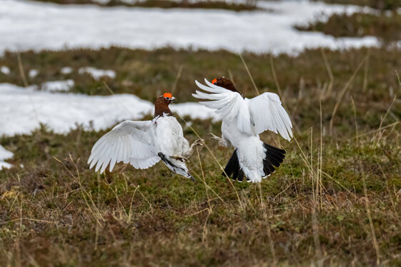 61eac2f5-841f-46de-b9de-f3acb1447d39