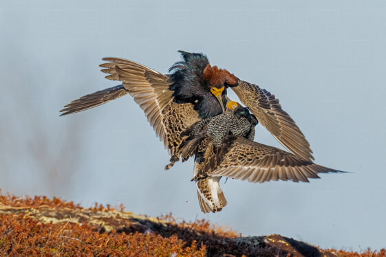 61639eec-f270-43d9-b411-9997e8c8b764