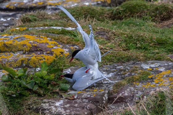 d16e40f5-5c70-4035-bc54-b21b9393dc84