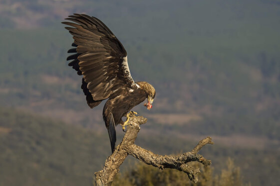 5208fddc-bb4f-4afb-9ac8-df928bbb2e63