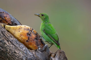 5fe2bac6-42b1-41eb-992d-bc47cb0d594c