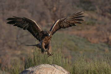 1b1e0e19-2c26-4952-bf40-c8b08cf651d7