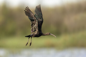 37b2c34f-8e4a-4274-ad60-f317f9a433e9