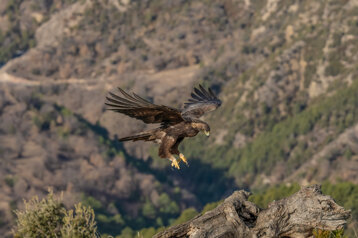 1c2807a4-d0a6-4d02-a8ed-1a108c98f427