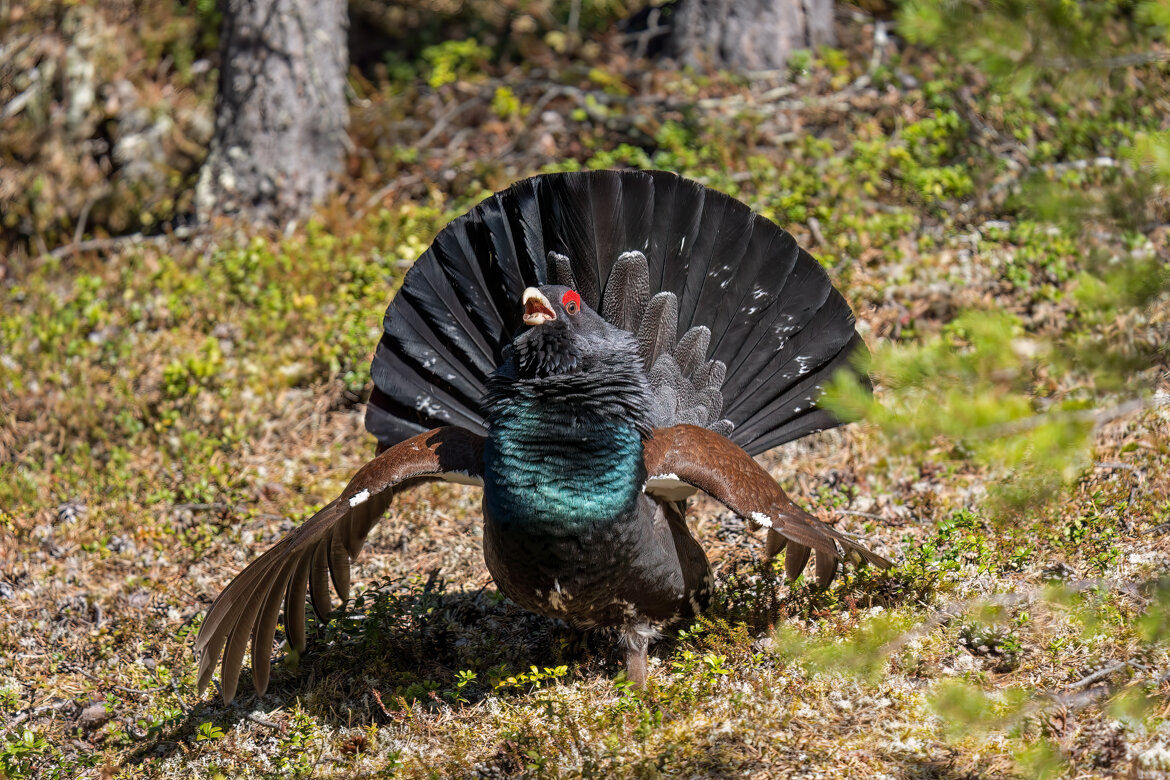 263cf477-6807-47fd-8aae-a3fa9340df13