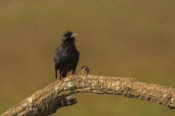 f9dc36fc-cc0d-417b-8fb4-c76bd05f4f2c