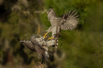 54c3306c-f090-4d1b-acad-9816f30d8d7f