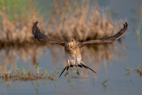 4f30edb1-588d-479f-adf8-5af8dcbf02d3