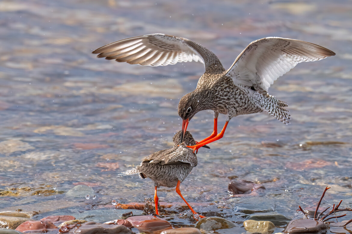 2b89bbbd-4a90-4f90-8f78-c1df5457a97e