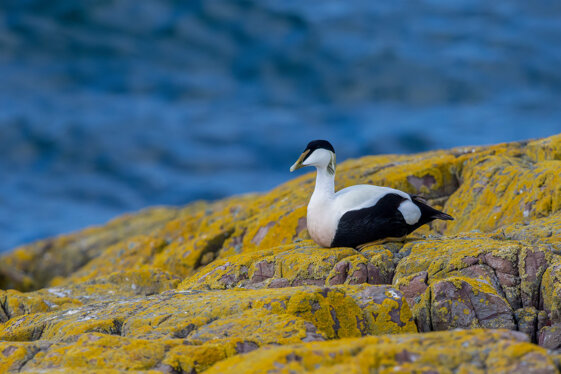 6e46cef3-c686-4ad9-a8bc-dc883f348c13