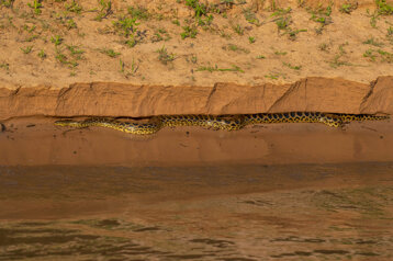 4148c596-b62e-4a8e-a697-a80f120ad035 4148c596-b62e-4a8e-a697-a80f120ad035