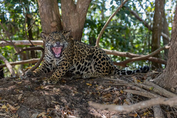 de396823-553d-42c2-b3fe-dcb60a9cdad5 de396823-553d-42c2-b3fe-dcb60a9cdad5